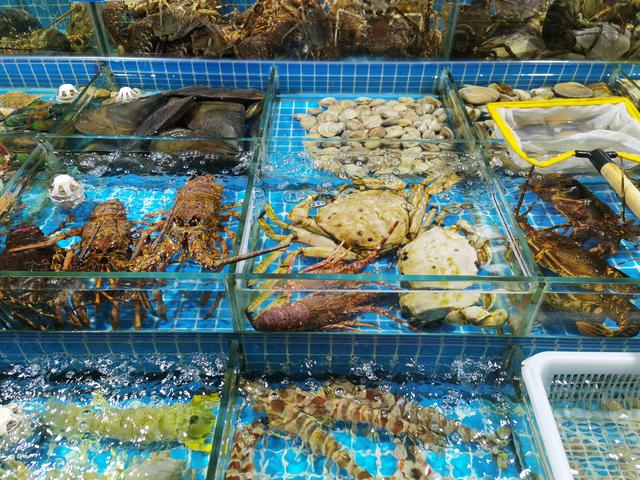 高端水產品價格探秘 為何一些水產售價如此昂貴？