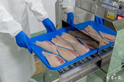 開辟“預(yù)制菜”新賽道，大黃魚游向水產(chǎn)品市場藍(lán)海